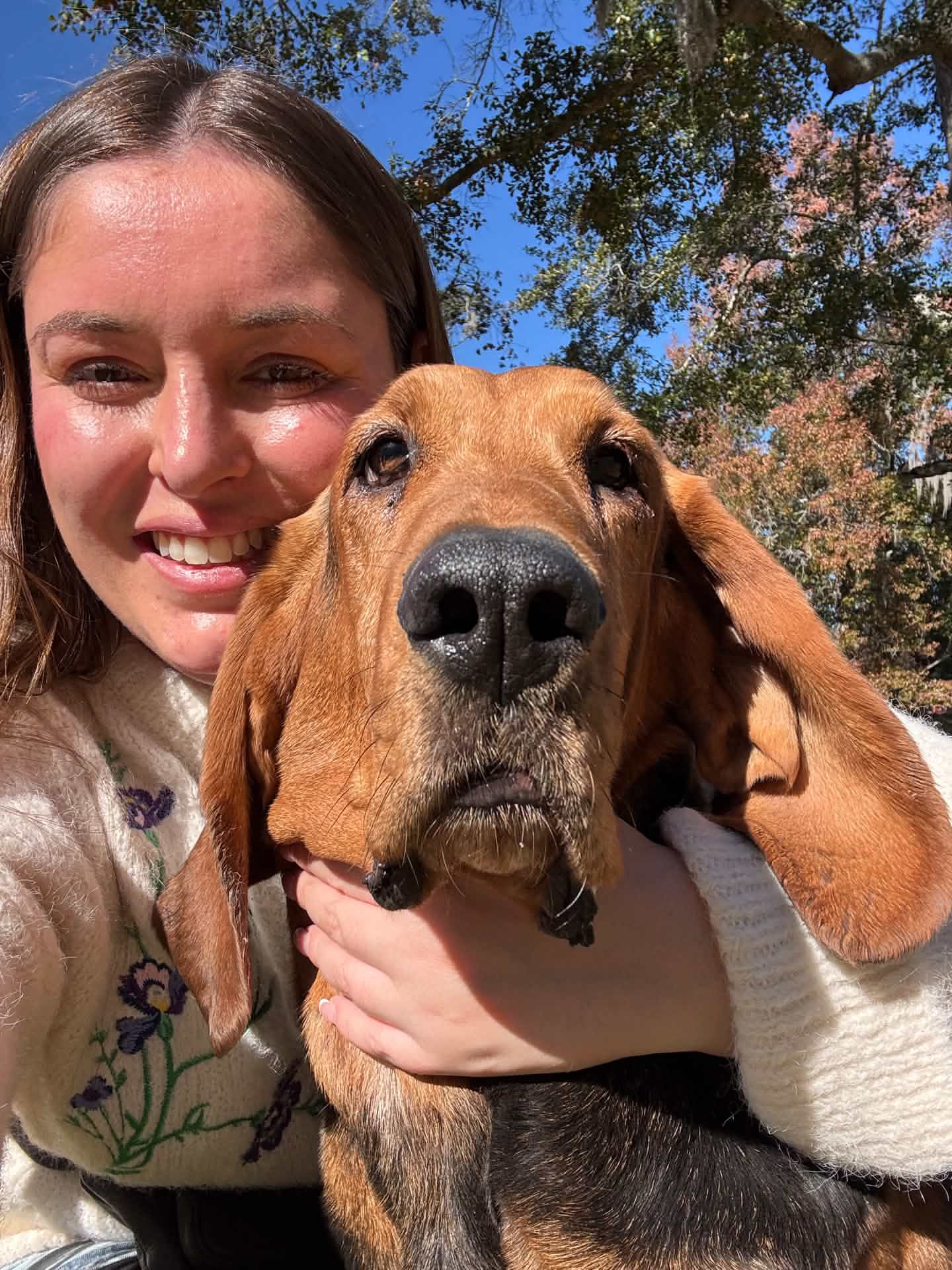 Alexis with a bloodhound in the sunshine