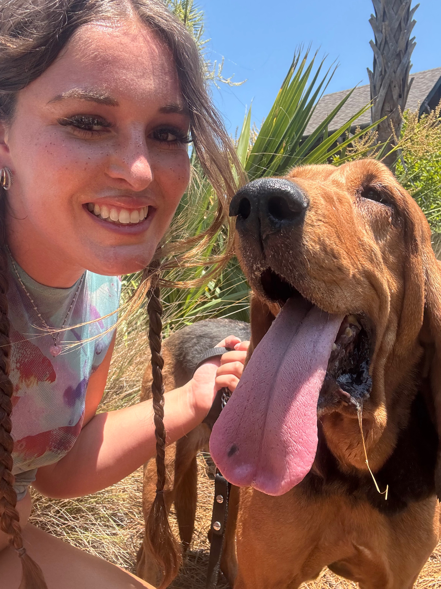 A happy hound on a summer walk
